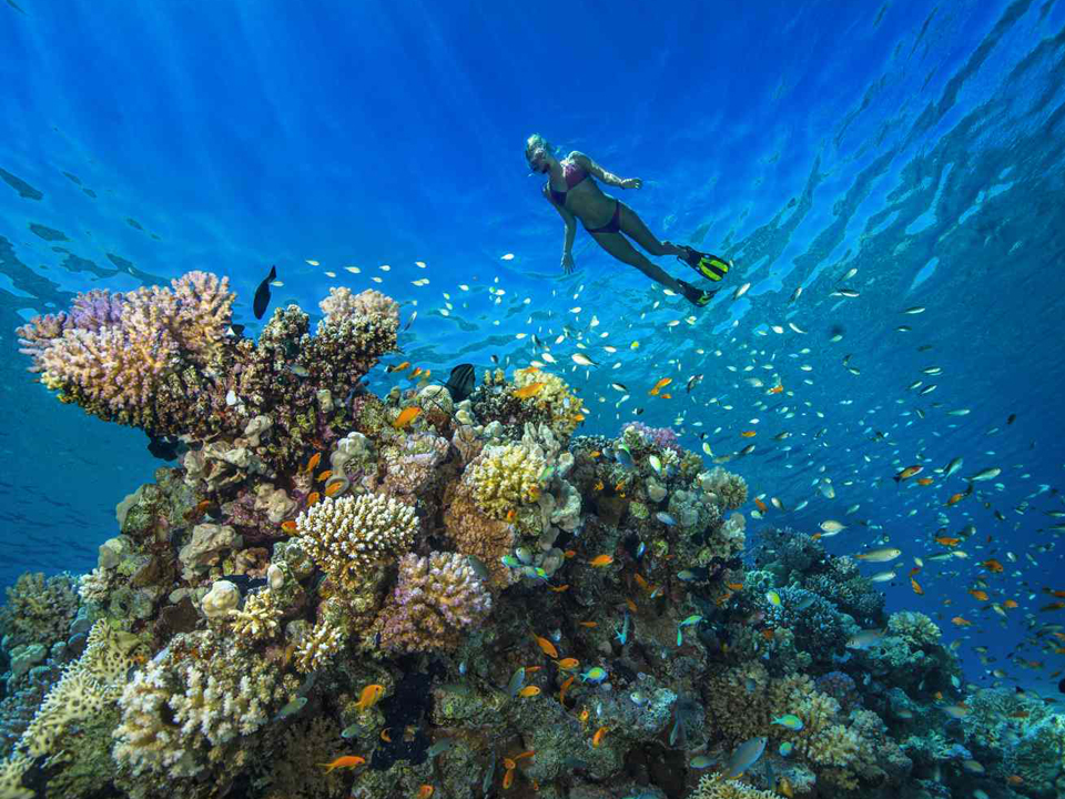 So Much Things To Do In Hurghada