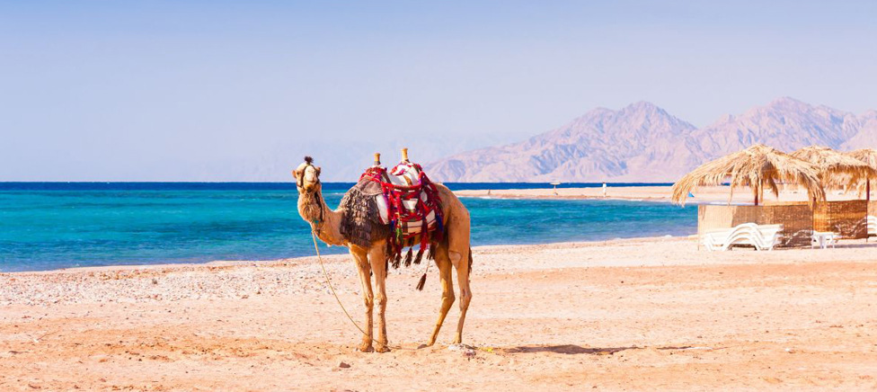 Things You Need To Know Before Travelling To Hurghada