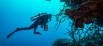 Scuba Diving In Hurghada